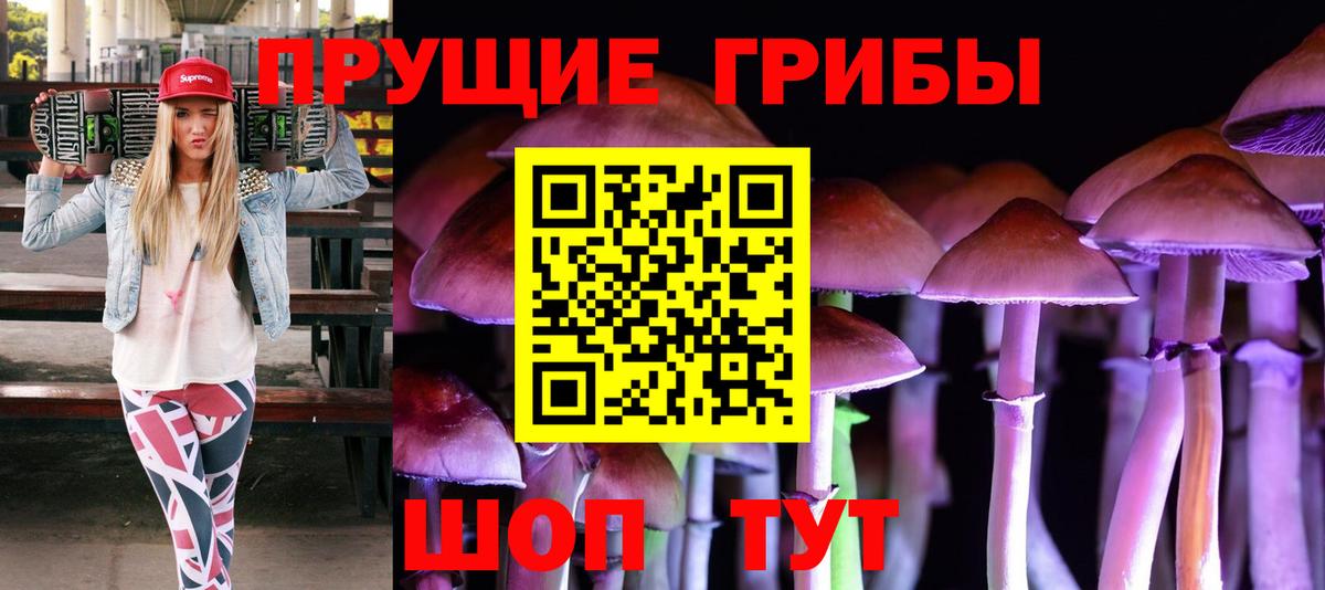 Псилоцибиновые грибы GOLDEN TEACHER Кунгур