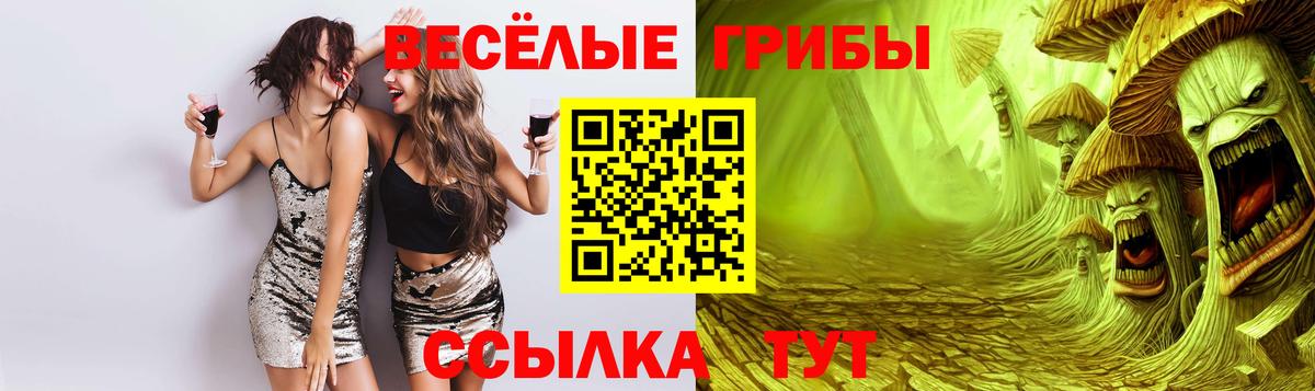 как найти закладки  Вход с VPN  Кунгур  Галлюциногенные грибы мицелий 
